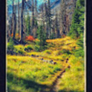 Meet your Posher, Laila